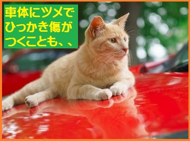 電子式猫よけ装置|12V車用|車|猫来ない |エンジンルーム猫|車の下|超