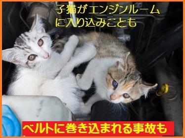 電子式猫よけ装置 12v車用 車 猫来ない エンジンルーム猫 車の下 超音波 フラッシュ 猫害 糞害 野良猫 対策 駆除 ネズミ サル 猿 果樹園 自動車 ネコ おしっこ 毛玉 ひっかきキズ 爪 足跡 カー用品通販のto Fit ツーフィット